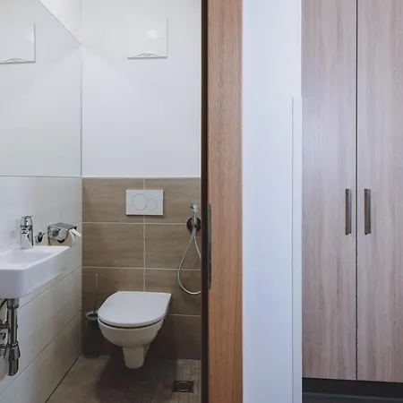 Appartements Sulzer By We Rent, Summercard Included Zell am See Exterior photo